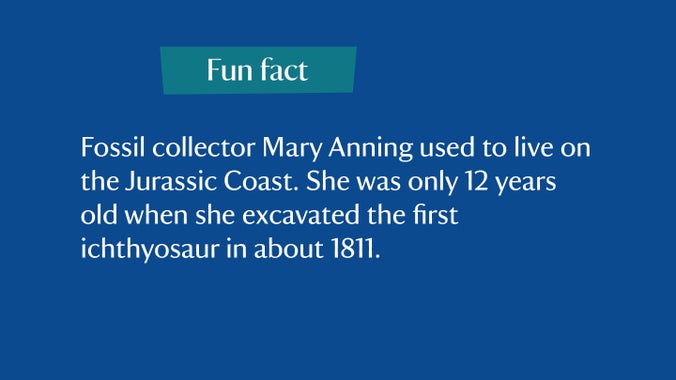 Fun fact: Fossil collector Mary Anning lived on the Jurassic Coast. She was only 12 when she excavated the first ichthyosaur in about 1811.